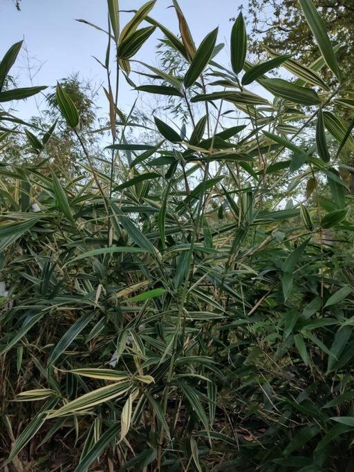 Gite Des 2 Chenes Entre Avenue Verte, Lacs, Piscine Et Casino Forges-les-Eaux Εξωτερικό φωτογραφία